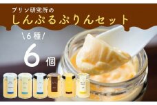 シンプルプリン 6種 6個セット ソース付き かため なめらか バニラプリン バニラ 生粋 4種 6種 スイーツ おやつ ご褒美 プレゼント ギフト 贈り物 お祝い 贈答用 高級 お取り寄せ 高級プリン 高級スイーツ プリン研究所 大阪府 松原市
