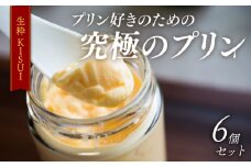プリン 6個入り 『生粋-ＫＩＳＵＩ-』 昔ながら しっかり かため ご褒美 ギフト お中元 お歳暮 母の日 父の日 敬老の日 バレンタイン ホワイトデー 誕生日 結婚 出産 祝い 内祝い 贈答品 プリン研究所 大阪府 松原市
