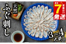 7営業日以内発送 天然 ふぐ 刺身 3～4人前 冷凍 真空 解凍するだけ お手軽 まふぐ 炙り たたき 大皿 てっさ 国産 フグ刺し 刺し身 河豚 高級 鮮魚 魚 魚介 新鮮 家庭用 プレゼント 鍋 大阪府 松原市 限定 下関 に並ぶ 玄品ふぐ ふるさと納税ふぐ 3人前 4人前 冬 旬