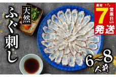 7営業日以内発送 天然 ふぐ 刺身 6～8人前 冷凍 真空 解凍するだけ お手軽 まふぐ 炙り たたき 大皿 てっさ 国産 フグ刺し 刺し身 河豚 高級 鮮魚 魚 魚介 新鮮 家庭用 プレゼント 鍋 大阪府 松原市 限定 下関 に並ぶ 玄品ふぐ ふるさと納税ふぐ 6人前 8人前 冬 旬 年末配送
