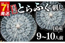 7営業日以内発送 ふぐ 刺身 9～10人前 冷凍 真空 解凍するだけ お手軽 とらふぐ 大皿 てっさ 国産 フグ刺し 刺し身 河豚 高級 鮮魚 魚 魚介 新鮮 家庭用 プレゼント 鍋 大阪府 松原市 限定 下関 に並ぶ 玄品ふぐ ふるさと納税ふぐ 9人前 10人前 冬 旬