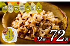 発芽玄米 ごはんパック 160g 72個 発芽 玄米 米 ごはん ご飯 こめ パックライス パックご飯 パックごはん ご飯パック パック ライス 備蓄 保存 非常 防災 電子 レンジ 温めるだけ レンチン 簡単 調理 健康 ダイエット 美容 ヘルシー レトルト インスタント おいしい 人気 おすすめ 国産 うるち玄米 もち玄米 赤米 黒米 緑米 72 72食 おくさま印 大阪 松原