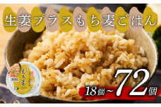 生姜プラスもち麦 ごはんパック 160g 48個 生姜 もち麦 麦 米 ごはん ご飯 こめ パックライス パックご飯 パックごはん ご飯パック ごはんパック パック ライス 備蓄 防災 保存 電子 レンジ 温めるだけ レンチン 簡単 調理 健康 美容 ヘルシー ダイエット レトルト インスタント おいしい 人気 おすすめ 国産 食物繊維 穀物 個包装 48 48食 おくさま印 大阪 松原