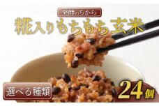 選べる種類 玄米パック 160g × 24個 12個 × 2ケース 発酵のちから 糀入りもちもち玄米 黒豆 ブレンド 選べる ご飯パック ご飯 玄米 金のいぶき 美容 健康 発酵 お米 栄養