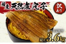 訳あり 煮穴子 300g 国産 肉厚 冷凍 あなご 穴子 天然 不揃い 魚介 魚介類 鮮魚 海鮮 魚 お魚 醤油 タレ 煮込み 玄品 高級 長崎県 産 大阪府 松原