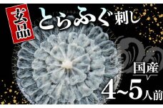 ふぐ 刺身 4～5人前 指定日可 冷凍 真空 解凍するだけ お手軽 とらふぐ 大皿 てっさ 国産 フグ刺し 刺し身 河豚 高級 鮮魚 魚 魚介 新鮮 家庭用 プレゼント 鍋 大阪府 松原市 限定 下関 に並ぶ 玄品ふぐ ふるさと納税ふぐ 4人前 5人前 冬 旬