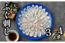 天然 ふぐ 刺身 3～4人前 指定日可 冷凍 真空 解凍するだけ お手軽 まふぐ 炙り たたき 大皿 てっさ 国産 フグ刺し 刺し身 河豚 高級 鮮魚 魚 魚介 新鮮 家庭用 プレゼント 鍋 大阪府 松原市 限定 下関 に並ぶ 玄品ふぐ ふるさと納税ふぐ 3人前 4人前 冬 旬
