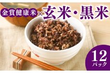 ご飯パック 金賞 健康米 玄米・黒米  120g×12個入り 国産 レンチン もち麦 軽食 夜食 簡単 白米 麦 食物繊維 ビタミン 御飯 ごはん パック ご飯 パックライス 