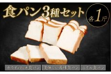 リッチ 食パン 1斤 冷凍 もちもち ふわふわ 冷凍パン お試し ヘルシー 朝食 おやつ サンドイッチ 大阪府 松原市
