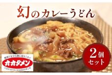 幻のカレーうどん カレーうどん うどん 2食 オオタメン 太田製麺所 製麺所 個包装 簡単調理 冷凍 めん 麺 2人前 できたて こだわり 大阪府 松原市