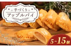 期間限定 手づくり アップルパイ 10個 小分け 個包装 おすそ分け 国産 りんご 林檎 リンゴ アップル パイ お菓子 洋菓子 焼菓子 デザート スイーツ おやつ 常温 配送 冬季限定 限定 プレゼント ギフト お取り寄せ 手土産 贈答用 贈り物 大阪府 松原市