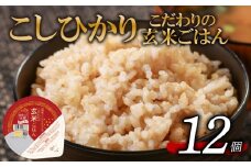 こしひかり 玄米ごはんパック 120g 12個 玄米 米 お米 ごはん ご飯 こめ パックライス パックご飯 パックごはん ご飯パック ごはんパック パック ライス 備蓄 保存 非常 防災 電子 レンジ 温めるだけ レンチン 簡単 健康 ダイエット 美容 ヘルシー 12 12食 レトルト インスタント おいしい 人気 おすすめ 大阪 松原