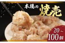TVで多数紹介! 肉汁たっぷり 焼売 65個 小分け 冷凍 お弁当 おかず しゅうまい シュウマイ 晩ごはん 夕ご飯 おつまみ リピーター 常備 中華 中華料理 惣菜 手作り 豚まん専門店龍福 二見 大阪府 松原市