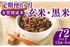 定期便 6ヶ月 ご飯パック 金賞 健康米 玄米・黒米  120g×12個入り 国産 レンチン もち麦 軽食 夜食 簡単 白米 麦 食物繊維 ビタミン 御飯 ごはん パック ご飯 パックライス 