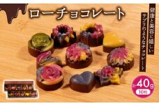 【ふるさと納税】 ローチョコレート 10個  ヴィーガン 対応 天然 植物 酵素 ビタミン ミネラル 健康 美容 チョコレート チョコ 食物繊維 10 大阪府 松原市
