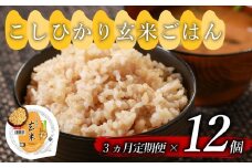 定期便 3回 こしひかり 玄米ごはんパック 160g 12個 × 3 36個 玄米 米 ごはん ご飯 こめ パックライス パックご飯 パックごはん ご飯パック ごはんパック パック ライス 備蓄 保存 非常 防災 電子 レンジ 温めるだけ レンチン 簡単 健康 ダイエット 美容 ヘルシー レトルト インスタント おいしい 人気 おすすめ 36 36食 おくさま印 大阪 松原