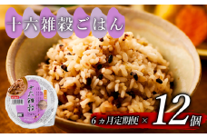 定期便 6回 十六雑穀 ごはんパック 160g 12個 パックごはん パックご飯 ごはんパック ご飯パック パックライス パック 16雑穀 雑穀 米 ごはん ご飯 こめ ライス 備蓄 保存 防災 レンジ 調理 簡単 レンチン 温めるだけ 健康 ダイエット 美容 栄養 ヘルシー 国産 12 12食 レトルト インスタント おいしい 人気 おすすめ おくさま印 大阪 松原