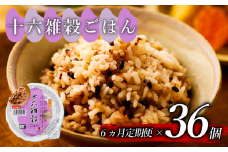 定期便 6回 十六雑穀 ごはんパック 160g 36個 パックごはん パックご飯 ごはんパック ご飯パック パックライス パック 16雑穀 雑穀 米 ごはん ご飯 こめ ライス 備蓄 保存 防災 レンジ 調理 簡単 レンチン 温めるだけ 健康 ダイエット 美容 栄養 ヘルシー 国産 36 36食 レトルト インスタント おいしい 人気 おすすめ おくさま印 大阪 松原