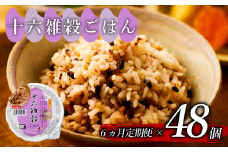 定期便 6回 十六雑穀 ごはんパック 160g 48個 パックごはん パックご飯 ごはんパック ご飯パック パックライス パック 16雑穀 雑穀 米 ごはん ご飯 こめ ライス 備蓄 保存 防災 レンジ 調理 簡単 レンチン 温めるだけ 健康 ダイエット 美容 栄養 ヘルシー 国産 48 48食 レトルト インスタント おいしい 人気 おすすめ おくさま印 大阪 松原