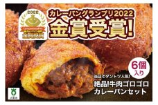 カレーパン 6個 牛肉 ゴロゴロ グランプリ 金賞受賞