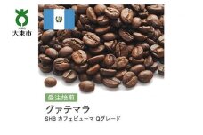 [豆]#49 受注焙煎！310g グァテマラSHB カフェピューマ Qグレード 珈琲豆 コーヒー豆 自家焙煎
