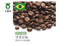 [豆]#69 受注焙煎！310g ブラジル カラメリッチ S18 珈琲豆 コーヒー豆 自家焙煎