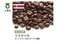 [豆]#71 受注焙煎！310g コスタリカ セントタラス SHB ガンボア農園 珈琲豆 コーヒー豆 自家焙煎