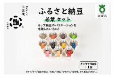 ふるさと納豆　若葉 小粒セット(カップ納豆11個）＜納豆BAR小金庵＞
