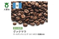 [豆]#80 受注焙煎！310g グアテマラ ゴールデンパレンシア リオ コロラド農園SHB 珈琲豆 コーヒー豆 自家焙煎