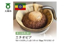 [粉]#144 受注焙煎！310g エチオピア モカ イルガチェフェG1 コチャレ 7Days アナエロビック 珈琲粉 コーヒー粉 自家焙煎