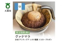 [粉]#158 受注焙煎！310g グアテマラ SHB アンティグア レタナ農園 イエローブルボン 珈琲粉 コーヒー粉 自家焙煎