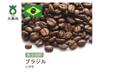 [豆]#131 受注焙煎！310g ブラジル ニブラ 珈琲豆 コーヒー豆 自家焙煎