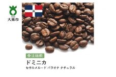 [豆]#149 受注焙煎！310g ドミニカ セサルメルード バラオナ ナチュラル 珈琲豆 コーヒー豆 自家焙煎
