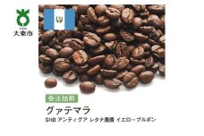[豆]#158 受注焙煎！310g グアテマラ SHB アンティグア レタナ農園 イエローブルボン 珈琲豆 コーヒー豆 自家焙煎
