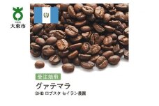 [豆]#159 受注焙煎！310g グアテマラ SHB ロブスタ セイラン農園 珈琲豆 コーヒー豆 自家焙煎