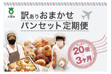 【3か月定期便】おまかせパン20個の詰め合わせ 訳ありパンセット（冷凍）