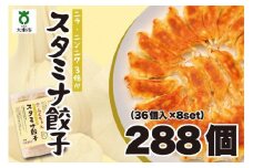 【大阪名物】大阪ふくちぁんスタミナ餃子 冷凍生餃子 288個 ［36個入×8セット］