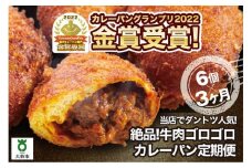 【3か月定期便】カレーパン 6個 牛肉 ゴロゴロ グランプリ 金賞受賞