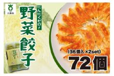 【大阪名物】大阪ふくちぁん野菜餃子 冷凍生餃子 72個 ［36個入×2セット］