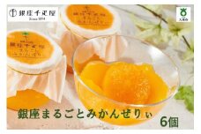 銀座千疋屋　銀座まるごとみかんぜりぃ　　PGS-063