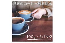 [豆]コーヒー豆 100g×6種類セット 合計600g 注文後焙煎