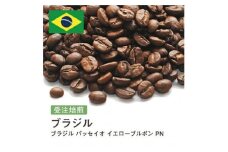 [豆]#182 ブラジル パッセイオ イエローブルボン PN 受注焙煎！310g 珈琲豆 コーヒー豆 自家焙煎