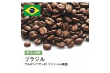 コーヒー豆 #242 ブラジル ブルボンアマレロ ラランハル農園 受注焙煎！310g 珈琲豆  自家焙煎