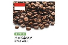 コーヒー豆 #258 インドネシア ロブスタ WIB-1 受注焙煎！310g 珈琲豆  自家焙煎