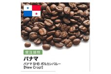 コーヒー豆 #267 パナマSHB ボルカンバルー 受注焙煎！310g 珈琲豆  自家焙煎