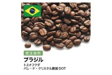 コーヒー豆 #276 ブラジル トミオフクダ バレ・ド・クリスタル農園DOT 受注焙煎！310g 珈琲豆  自家焙煎