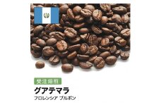コーヒー豆 #277 グアテマラ フロレンシア ブルボン 受注焙煎！310g 珈琲豆  自家焙煎