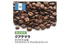 コーヒー豆 #280 グァテマラ SHB ウエウエテナンゴ プレミアムQグレード 受注焙煎！310g 珈琲豆  自家焙煎