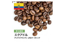 コーヒー豆 #282 エクアドル アンデスマウンテン JASオーガニック 受注焙煎！310g 珈琲豆  自家焙煎