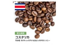 コーヒー豆 #306 コスタリカ FSHB ラクティックアナエロビックタラス ハニー 受注焙煎！310g 珈琲豆  自家焙煎